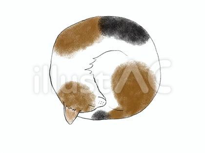 ねこ ニャンモナイト 05 三毛