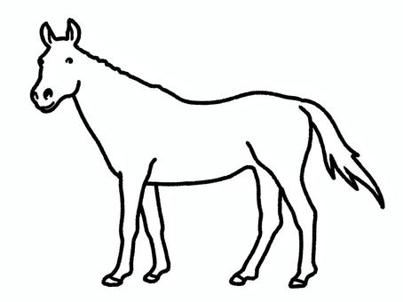 ウマ ウマ,動物,干支,牧場,競馬,塗り絵のイラスト素材