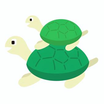 亀の親子のイラスト 亀の親子のイラスト 亀,子亀,親子,動物,ミドリガメ,緑,生き物,生物,爬虫類,ペットショップのイラスト素材