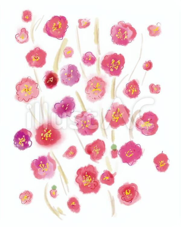 しだれ桜 しだれ桜,桜,花のイラスト素材