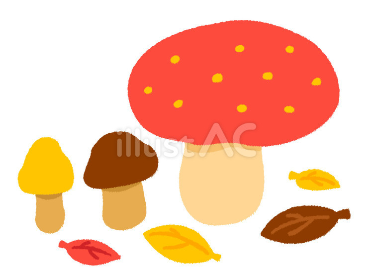 赤や黄色や茶色の毒キノコと落ち葉 きのこ,落ち葉,毒キノコのイラスト素材