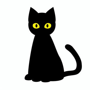 黒猫