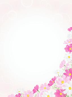 コスモスのフレーム、背景43 コスモス,秋桜,コスモス畑,花畑,秋,花,水彩,背景,フレーム,手描きのイラスト素材