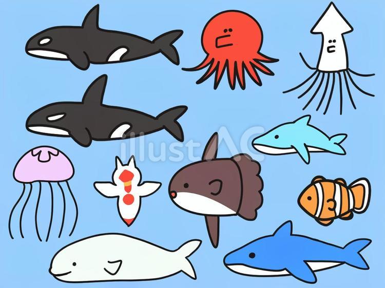 海の生き物　色々　可愛い　セット 海,生き物,シャチのイラスト素材