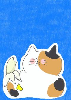バナナを食べる三毛猫ちゃん かわいい,バナナ,果物,フルーツ,食べ物,食べる,おいしい,うまい,ねこ,三毛猫のイラスト素材