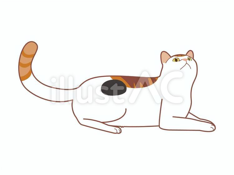 上を見る猫（三毛）　クラッキング 動物,猫,ペットのイラスト素材