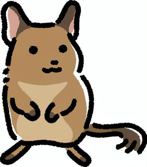 デグー デグー,齧歯類,動物,生き物,生物,小動物,ペット,シンプル,デフォルメのイラスト素材
