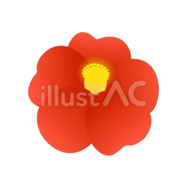 椿の花イラスト No 無料イラストなら イラストac
