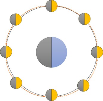 地球と月の公転 小学校,理科,テスト,プリント,ドリル,地球,月,自転,公転,満ち欠けのイラスト素材