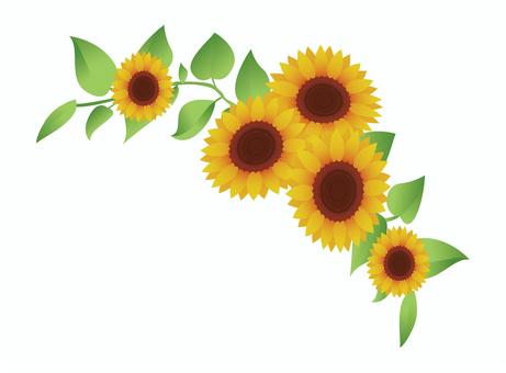 Illustration, sunflower, flower, summer, 