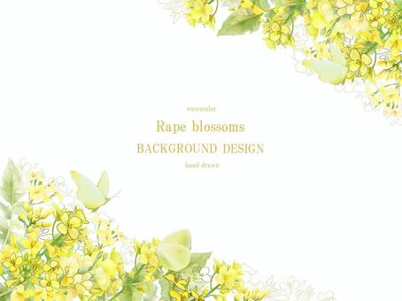 Watercolor and line drawing rape blossom background, JPG, PNG and AI Watercolor and line drawing rape blossom background, , JPG, PNG and AI