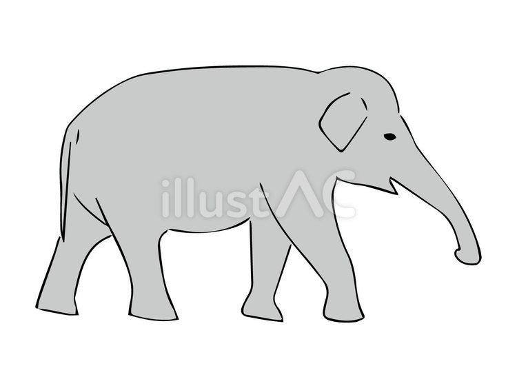 象さん 動物,手描き,象のイラスト素材