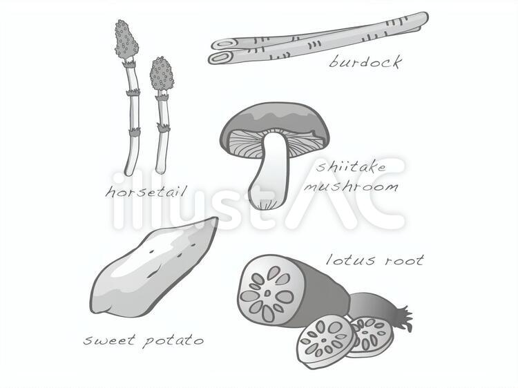 手描き風野菜 しいたけ,きのこ,れんこんのイラスト素材
