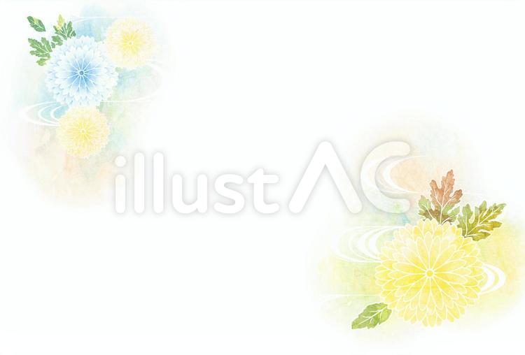 水彩風菊と流水の喪中はがきヨコ 菊,流水,寒中見舞いのイラスト素材