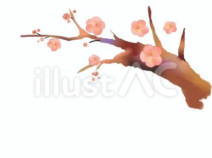 梅の木