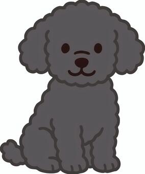 黒いトイプードル トイプードル,黒,犬,子犬,小型犬,ベクター,可愛いのイラスト素材