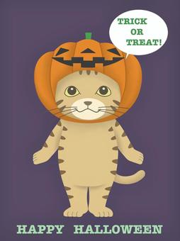 halloween pumpkin, JPG halloween pumpkin, , JPG