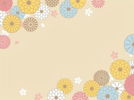 色とりどりな菊の和風背景 背景,和,フレーム,正月,お正月,ひな祭り,春,壁紙,ひなまつり,年賀のイラスト素材