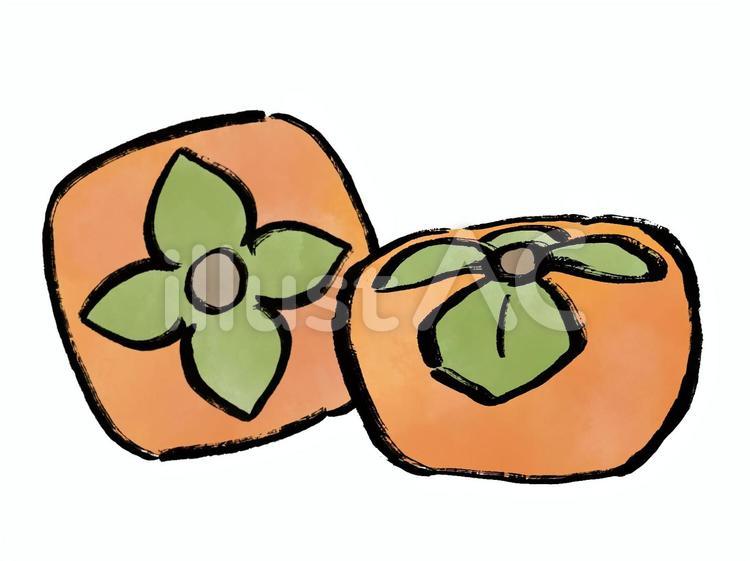 秋の味覚の柿 柿,秋の味覚,秋のイラスト素材