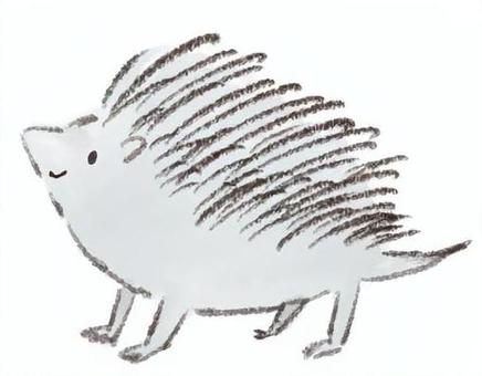 ハリネズミ 動物,ハリネズミ,絵本,可愛い,ネズミのイラスト素材