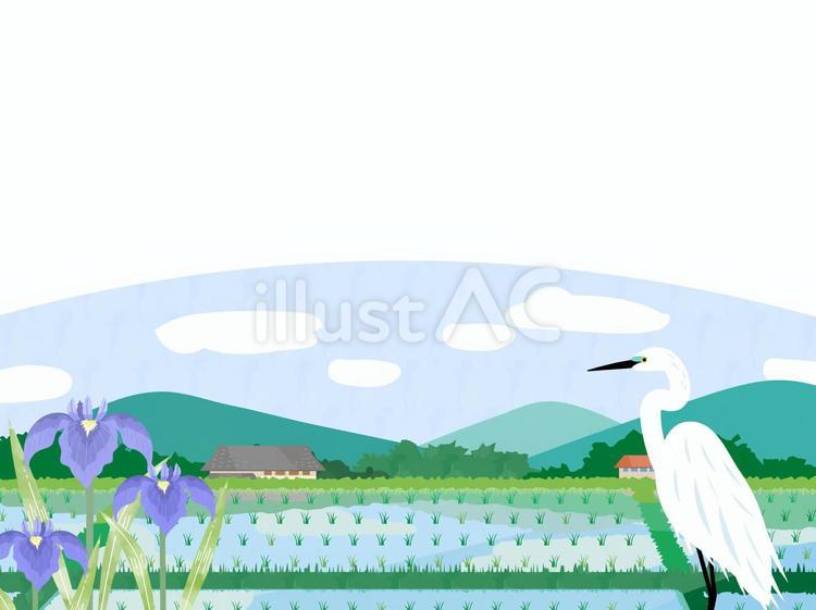 日本の初夏の田園風景のイラスト素材9 夏,初夏,田のイラスト素材