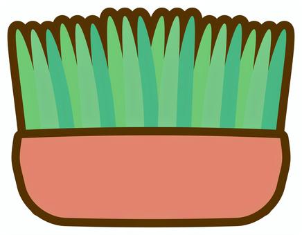 猫草 猫草,植物,葉,植木鉢,栽培,かわいい,イラスト,素材のイラスト素材