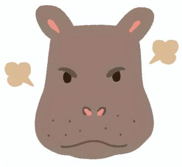 プンプンと怒った顔をする可愛いカバの顔 カバ,顔,怒る,怒り,動物,動物園,かわいい,表情,不機嫌,不満のイラスト素材