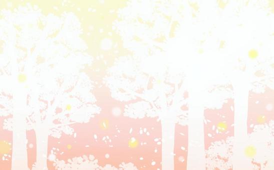 Illustration, wallpaper, cherry blossoms, beautiful, 