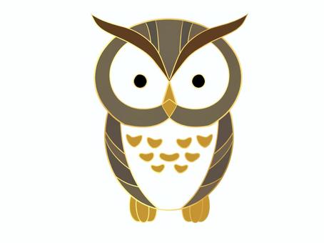 金邊貓頭鷹 金邊貓頭鷹