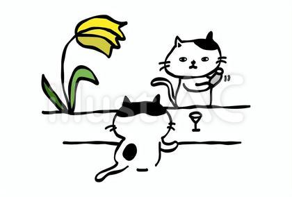 猫 バー
