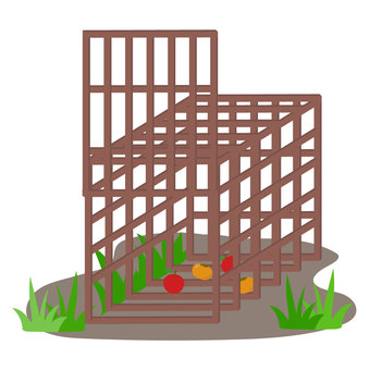 箱わなの仕掛け(餌あり) 箱,罠,箱わな,熊,クマ,餌,エサ,柿,りんご,食べ物のイラスト素材