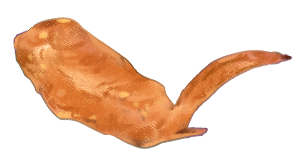 【色鉛筆風手描き】手羽先唐揚げ 手羽先,鶏肉,唐揚げ,揚げ物,おつまみ,居酒屋,料理,ごちそう,色鉛筆風,手描きのイラスト素材