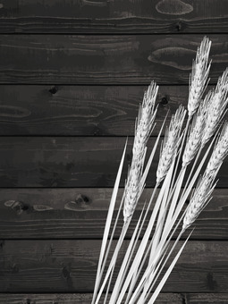 白黒の麦穂と黒板の背景3　mugi021 麦穂,白黒,リアル,ナチュラル,お洒落,自然,植物,大人っぽい,枠,背景のイラスト素材