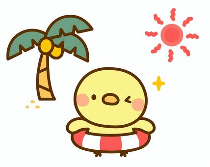 夏の太陽と浮き輪とひよこ