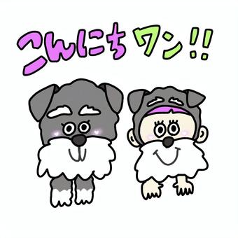 シュナウザーと人間