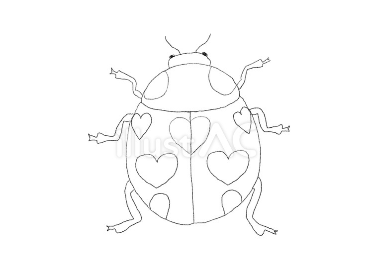 スケッチ　てんとうむし　ハート てんとうむし,昆虫,生き物のイラスト素材