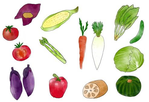 野菜 水彩,野菜,トマト,にんじん,大根,蓮根,かぼちゃ,きゅうり,ほうれん草,パプリカのイラスト素材