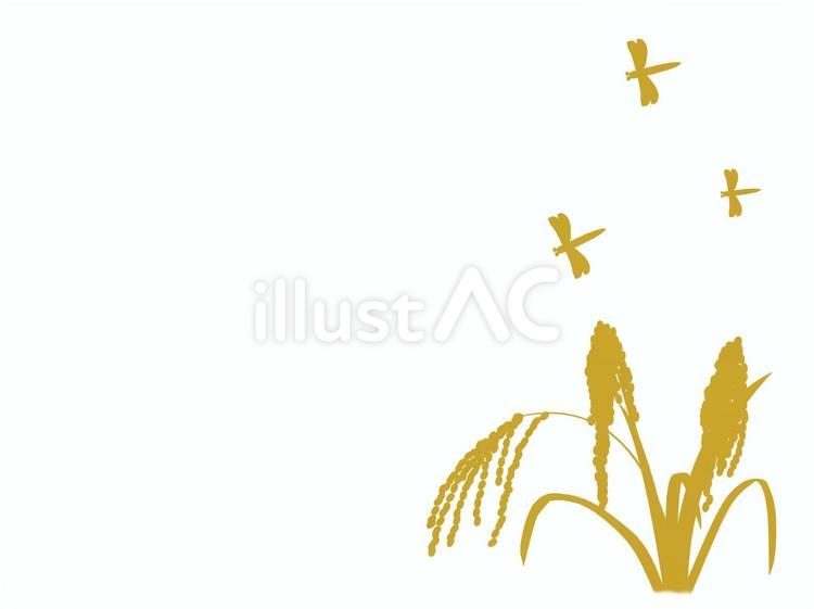 赤とんぼと稲穂2 秋,初秋,田んぼのイラスト素材