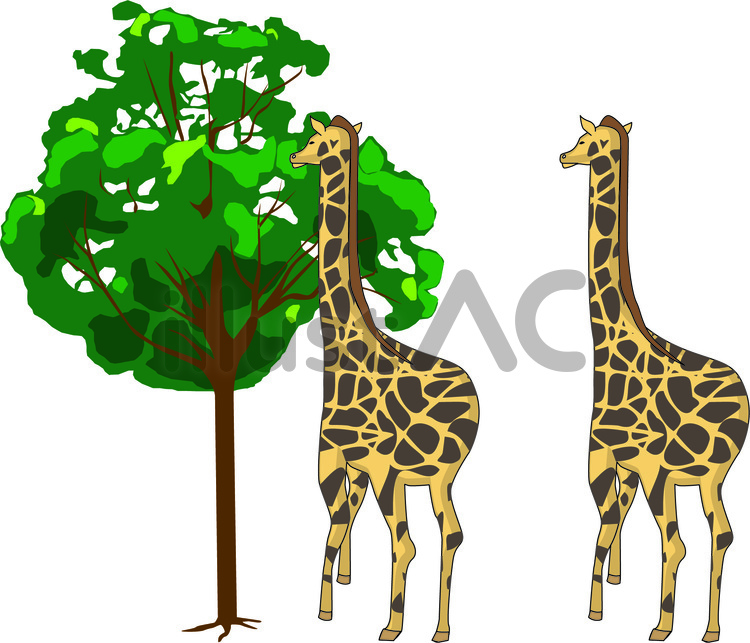 キリン 首 長い 動物園 後ろ姿 木イラスト No 無料イラストなら イラストac