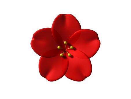 梅の花赤・背景透過