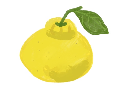 ゆず　油絵風 ゆず,果物,フルーツ,果実,単品,単体,挿絵,油絵のイラスト素材