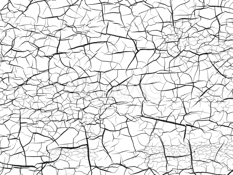 白地に黒い細かいひび割れ模様の背景 背景,テクスチャ,ヒビのイラスト素材