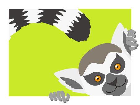 ワオキツネザル ワオキツネザル,輪尾狐猿,ring-tailed,lemur,catta,霊長目,キツネザル科,霊長類,ワオキツネザル属,サルのイラスト素材