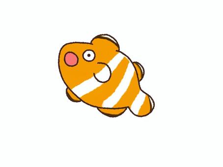 Surprising clownfish, , JPG and PNG