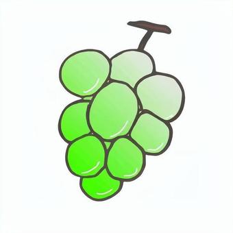 シャインマスカットのイラスト シャインマスカット,マスカット,ぶどう,グリーン,フルーツ,果物,果実,食べ物,シンプル,イラストのイラスト素材