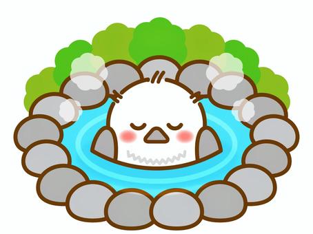 Illustration, shimaenaga, bird, bathing, 