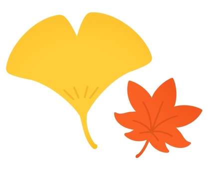 Illustration, autumn leaves, stomach, maple, JPG and PNG