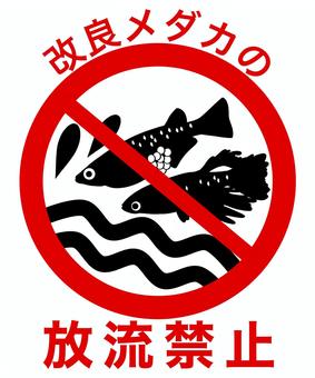 改良メダカの放流禁止 めだか,メダカ,改良メダカ,放流禁止,魚のイラスト素材