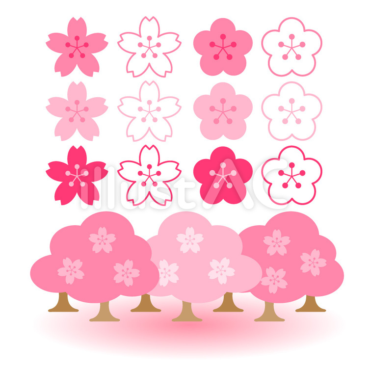 桜 桜,さくら,サクラのイラスト素材