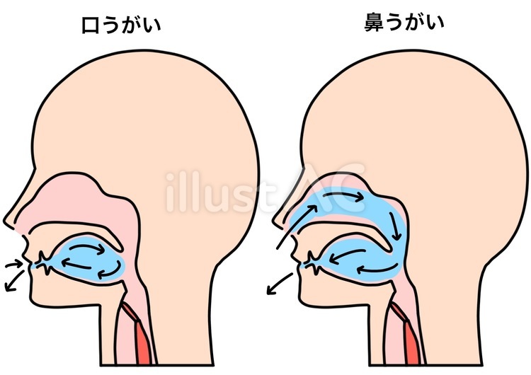 口うがいと鼻うがいの比較　カラー 口うがい,鼻うがい,比較のイラスト素材
